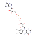 PAMDB110704