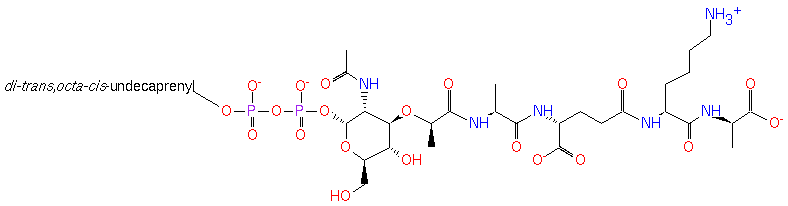 PAMDB120025