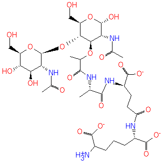 PAMDB120091